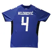 Capelli Sport home jersey replica of the Serbian football team 2025/26 - with print