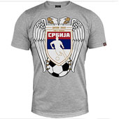 Fans Tshirt Qatar 2022 eagle - grey